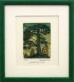 /products/velka-borovice-herbert-kisza-grafika/